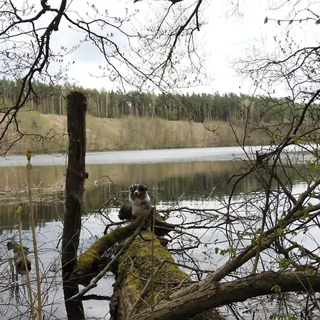 Campsite Mazurska Bajka Kolo Grunwaldu *