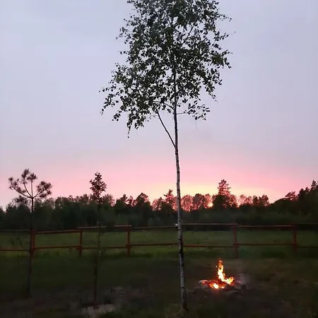 Campsite Mazurska Bajka Kolo Grunwaldu Mielno (Ostroda)