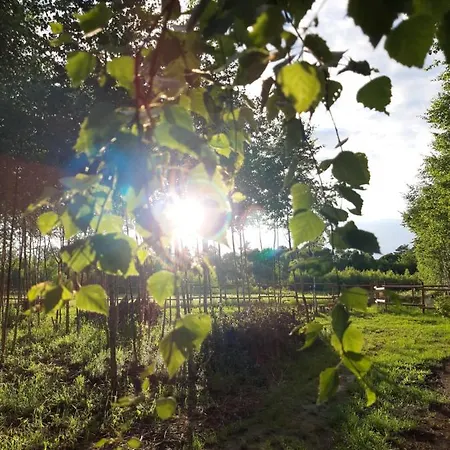 Campsite Mazurska Bajka Kolo Grunwaldu *