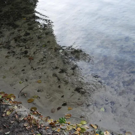 Mazurska Bajka Kolo Grunwaldu Mielno (Ostroda)